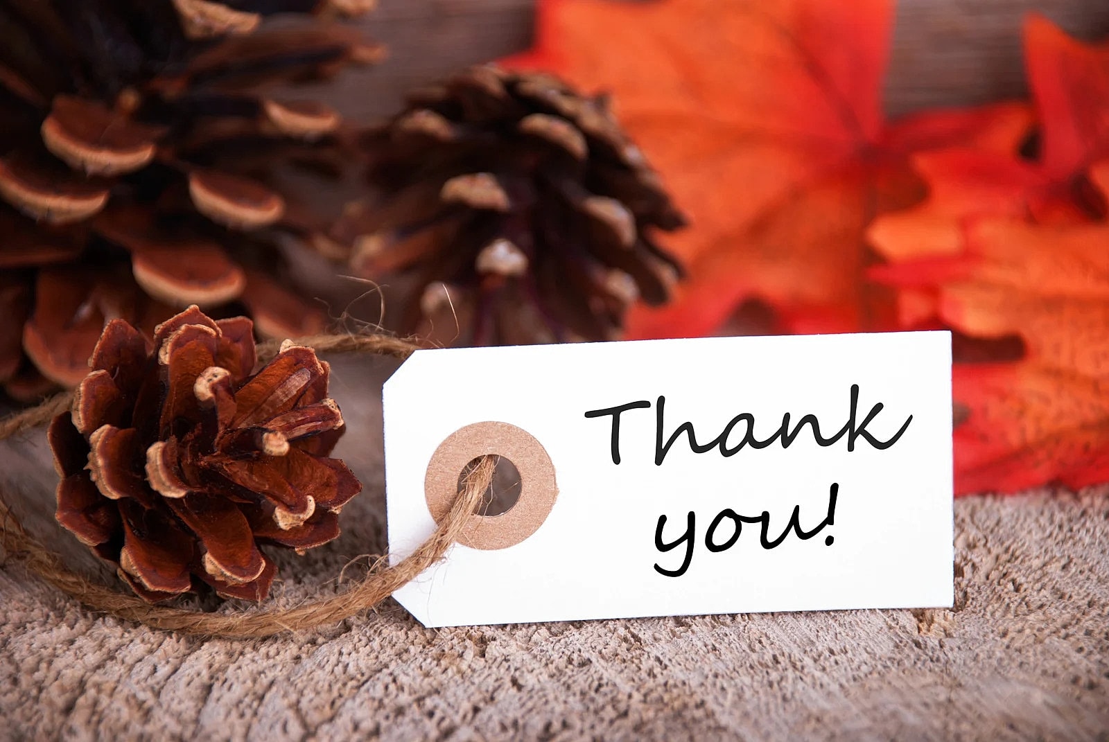 Thank you! This is for you!